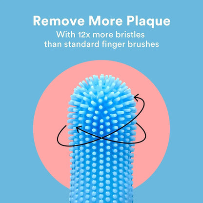 pet toothbrush