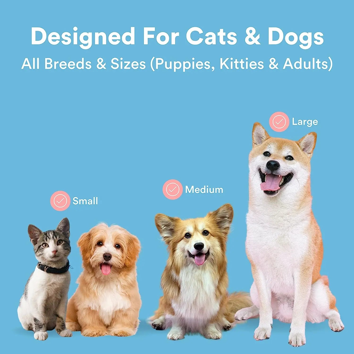pet toothbrush