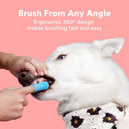 pet toothbrush